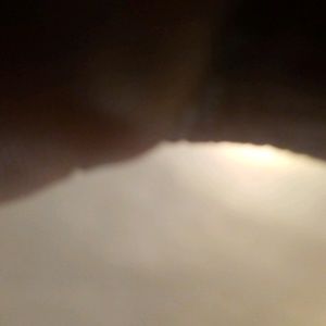 Meet your Posher, Terrell